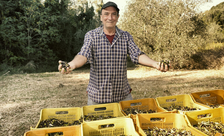 Farmer, Olive Oil, Italy