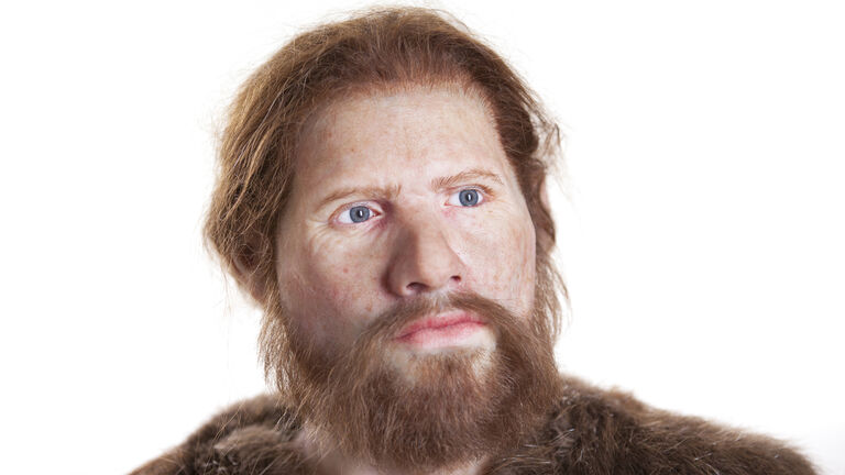 Cees the stone age man