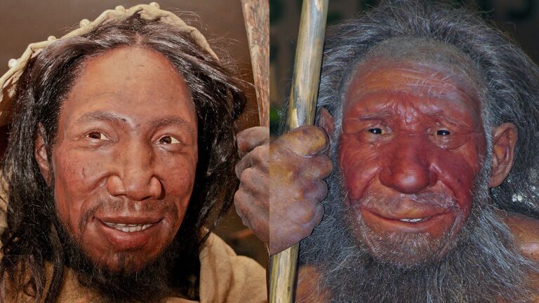 Homo sapiens and Neanderthal