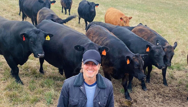 Keith Urban and Cattle