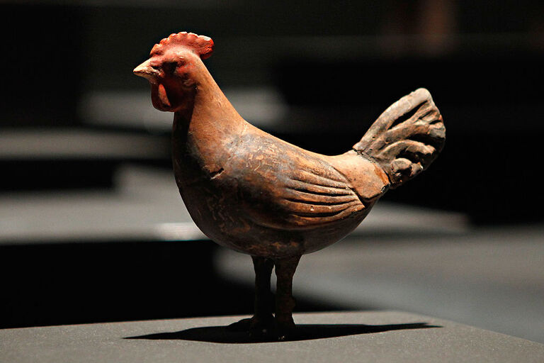 terracotta chicken