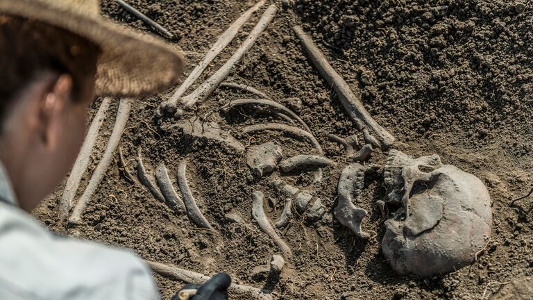 archaeologist excavating skeleton
