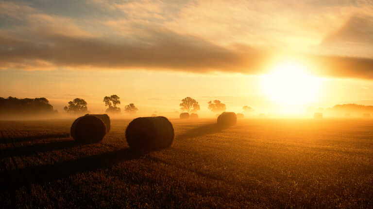 sunrise over harvest field