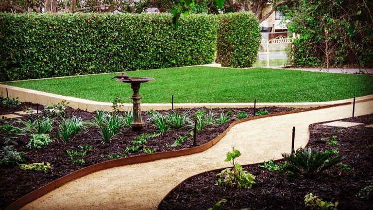 curved garden beds