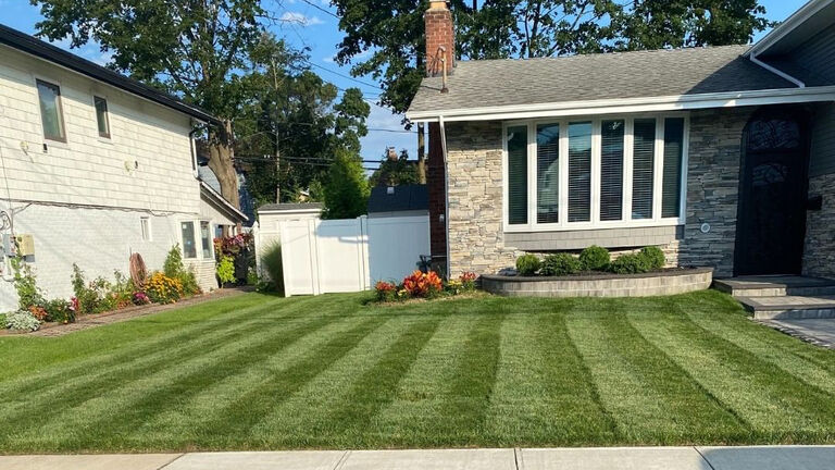 simple front yard