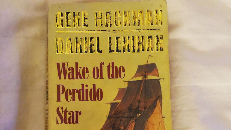 The Wake of the Perdido Star