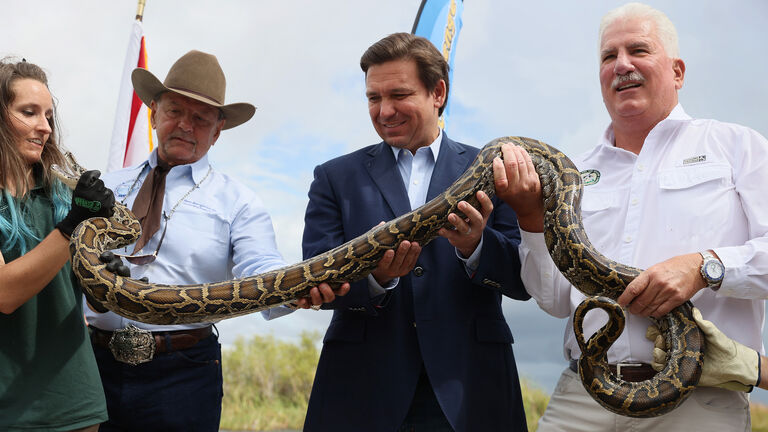 Florida Governor Ron DeSantis Kicks Off The 2021 Python Challenge In The Everglades