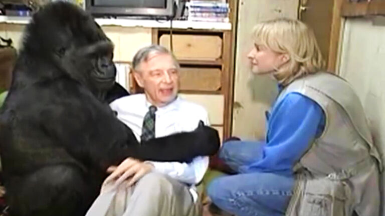 Koko The Gorilla meets Mr Rogers