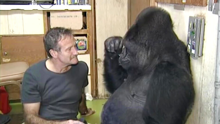 Robin Williams and Koko