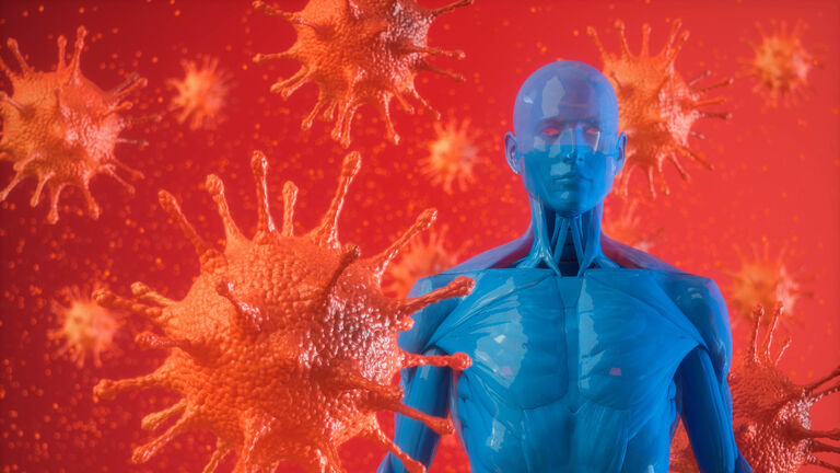 Human Immune System And Virus
