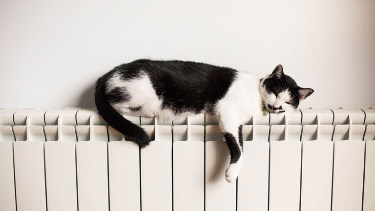 lazy black and white cat sleeping on a radiator