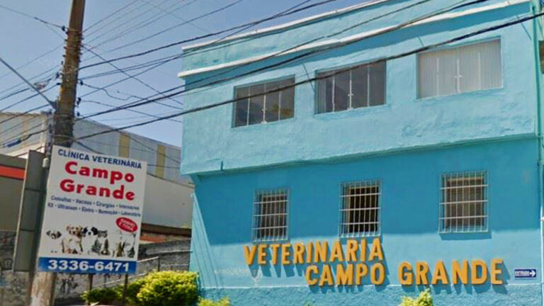 Veterinária Campo Grande
