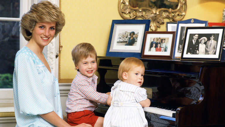 Princess Diana Prince William and Prince Harry