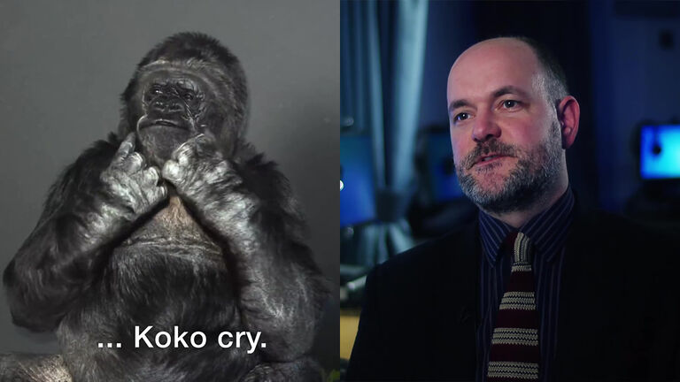 Koko the Gorilla and Graham Turner