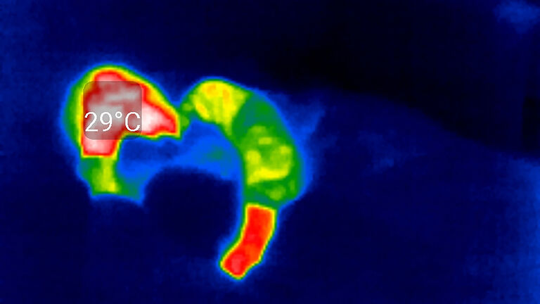 Thermal image of an unrecognizable person sleeping