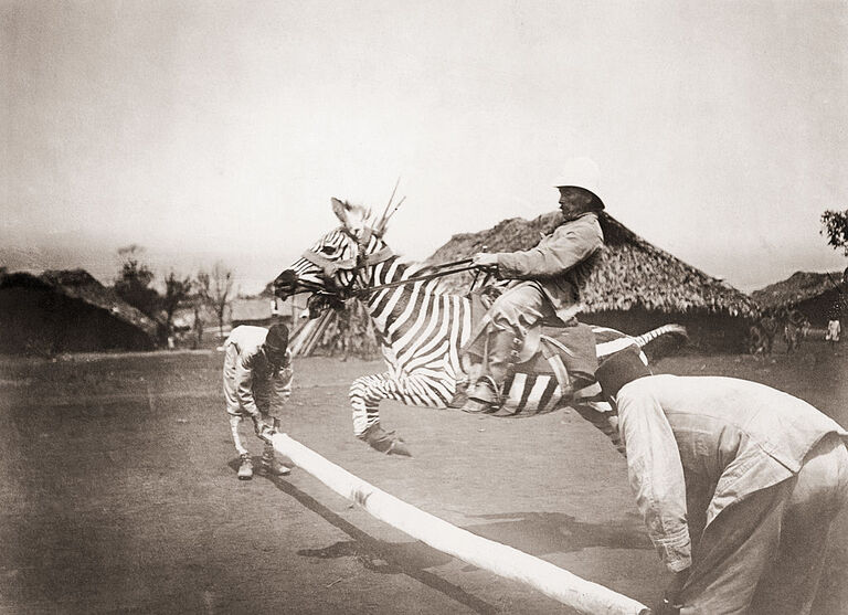 taming zebras