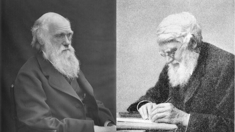Alfred Wallace / Charles Darwin
