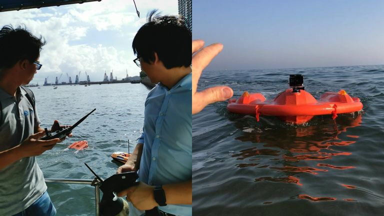 Dolphin 1 Remote Control Lifebuoy
