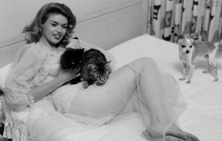 https://www.gettyimages.co.uk/detail/news-photo/actress-jayne-mansfield-poses-with-her-cats-in-bed-at-home-news-photo/562891045?adppopup=true