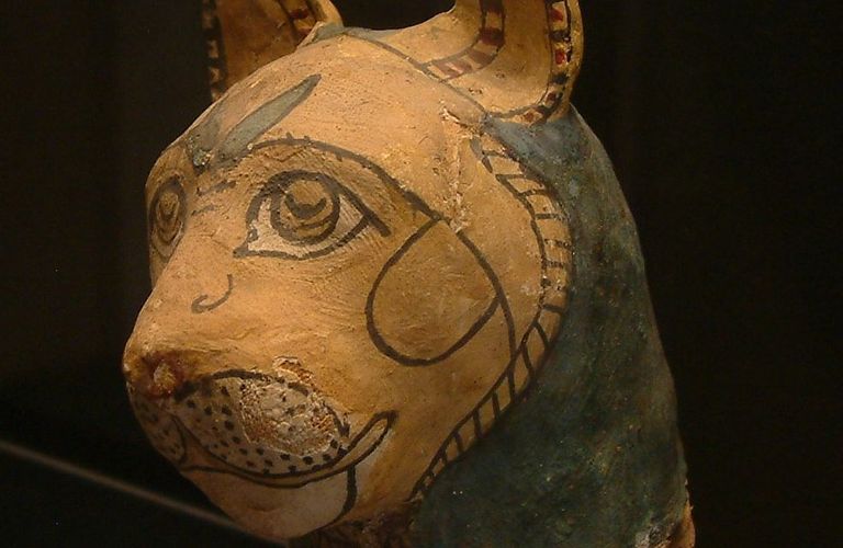 ancient Egyptian cat