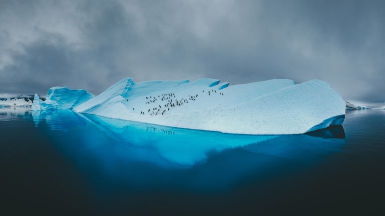 penguins atop a vibrant blue iceberg