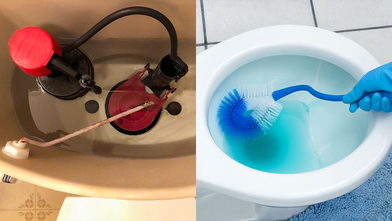 Wild Toilet Cleaning Hacks Are Going Viral Online intro