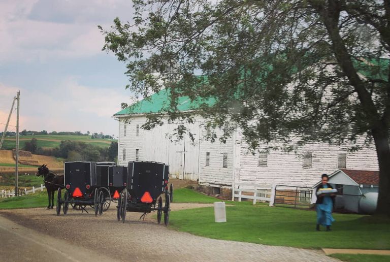 Amish wedding