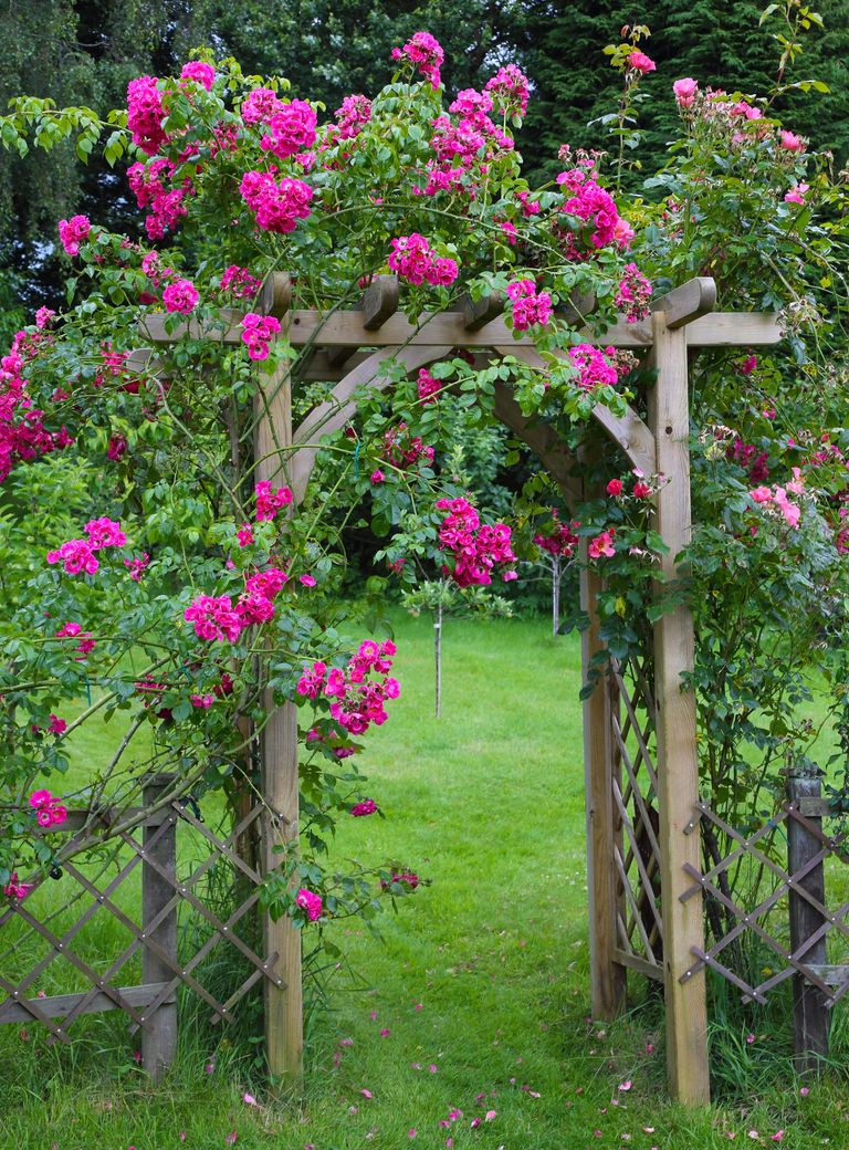wooden rose arch