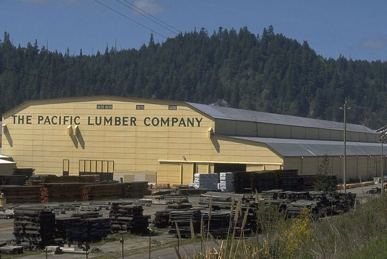 Pacific Lumber Company