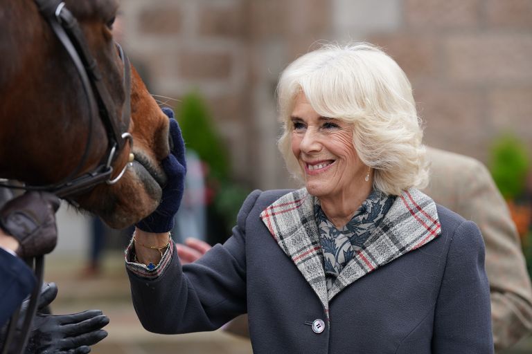 https://www.gettyimages.co.uk/detail/news-photo/camilla-queen-consort-pats-a-horse-as-she-attends-a-news-photo/1243884191?phrase=Camilla%202022&adppopup=true
