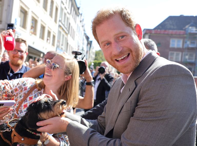 https://www.gettyimages.co.uk/detail/news-photo/prince-harry-duke-of-sussex-holds-a-dog-as-he-meets-members-news-photo/1421532843?phrase=Prince%20Harry%202022&adppopup=true