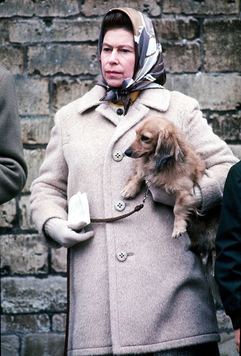 https://www.gettyimages.com/detail/news-photo/queen-elizabeth-ii-with-one-of-her-favourite-dogs-at-the-news-photo/57098556?phrase=Queen%20Elizabeth%20II%20with%20one%20of%20her%20favourite%20dogs%20at%20the%20Badminton%20Horse%20Trials%20in%20April%201976