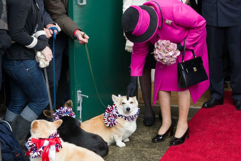https://www.gettyimages.co.uk/detail/news-photo/queen-elizabeth-ii-strokes-a-corgi-during-a-visit-to-news-photo/143626466?phrase=Queen%20Elizabeth%20%20corgi