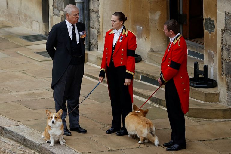 https://www.gettyimages.co.uk/detail/news-photo/prince-andrew-with-royal-corgis-as-they-await-the-cortege-news-photo/1243366053?phrase=QUEEN%20ELIZABETH%20CORGI&adppopup=true