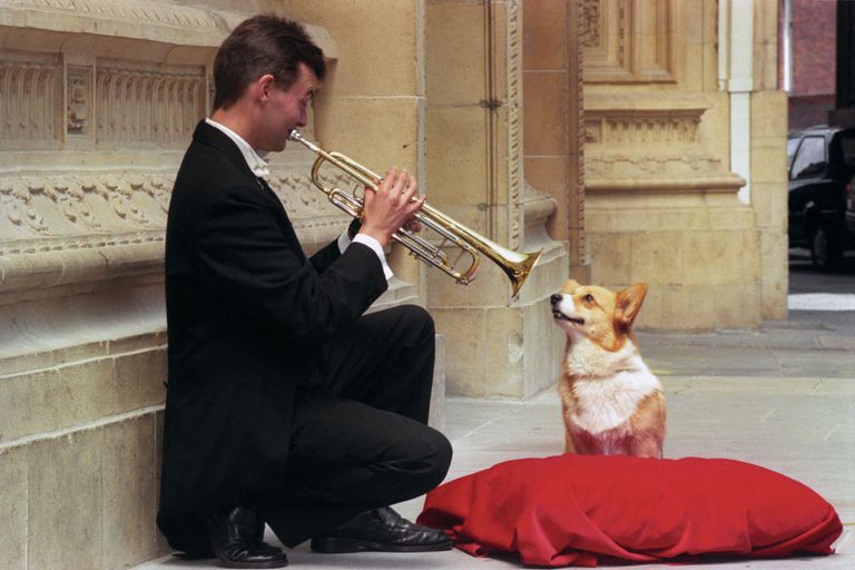 https://www.gettyimages.co.uk/detail/news-photo/royal-philharmonic-orchestra-trumpet-player-brian-thompson-news-photo/830422528?phrase=Queen%20Mother%20corgis