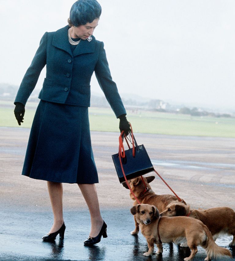 https://www.gettyimages.co.uk/detail/news-photo/queen-elizabeth-ll-arrives-at-aberdeen-airport-with-her-news-photo/57077438?phrase=Queen%20ELIZABETH%20corgi%20