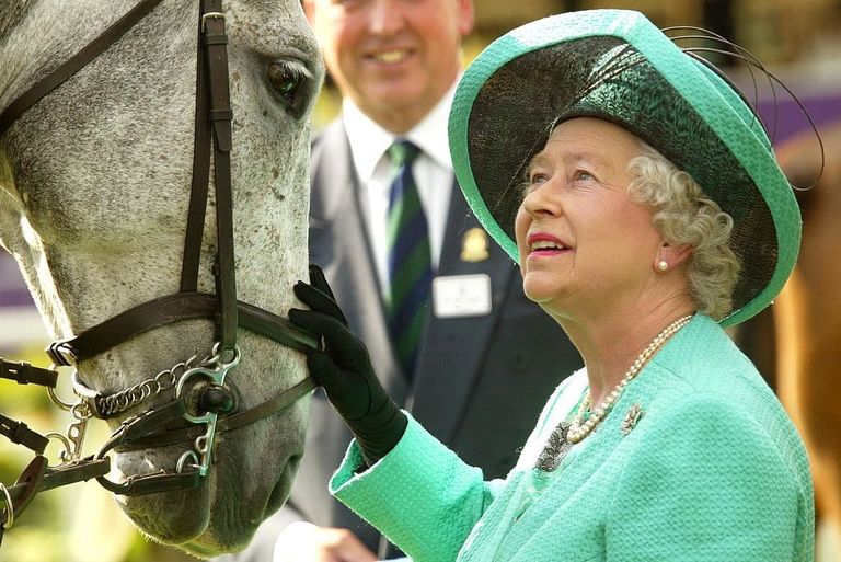 https://www.gettyimages.co.uk/detail/news-photo/queen-elizabeth-ii-attends-the-third-day-of-the-royal-news-photo/50841201?phrase=QUEEN%20ELIZABETH%20ANIMALS&adppopup=true