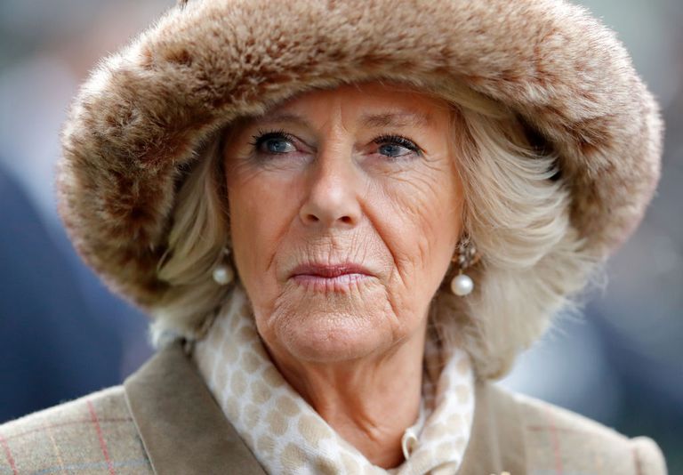 https://www.gettyimages.co.uk/detail/news-photo/camilla-duchess-of-cornwall-attends-the-princes-countryside-news-photo/1071531848?phrase=camilla%20parker%20bowles