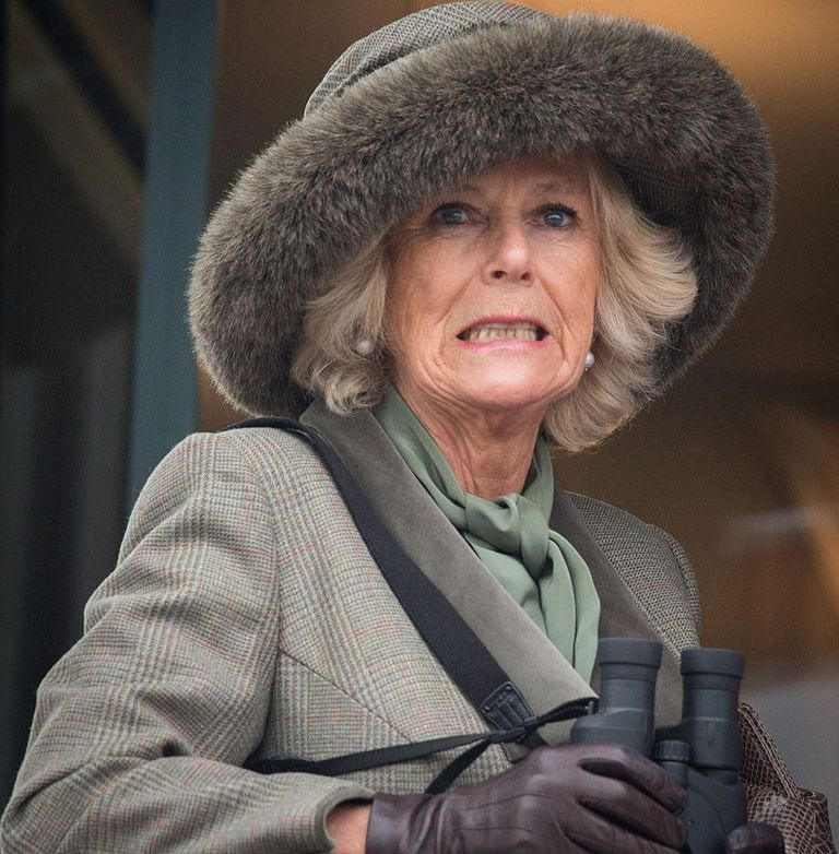 https://www.gettyimages.co.uk/detail/news-photo/camilla-duchess-of-cornwall-reacts-as-she-watches-a-race-news-photo/465868030?phrase=camilla%20parker%20bowles%20silly%20face