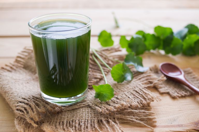 https://www.gettyimages.co.uk/detail/photo/gotu-kola-or-centella-asiatica-juice-in-glass-and-royalty-free-image/1300076948?phrase=centella%20asiatica