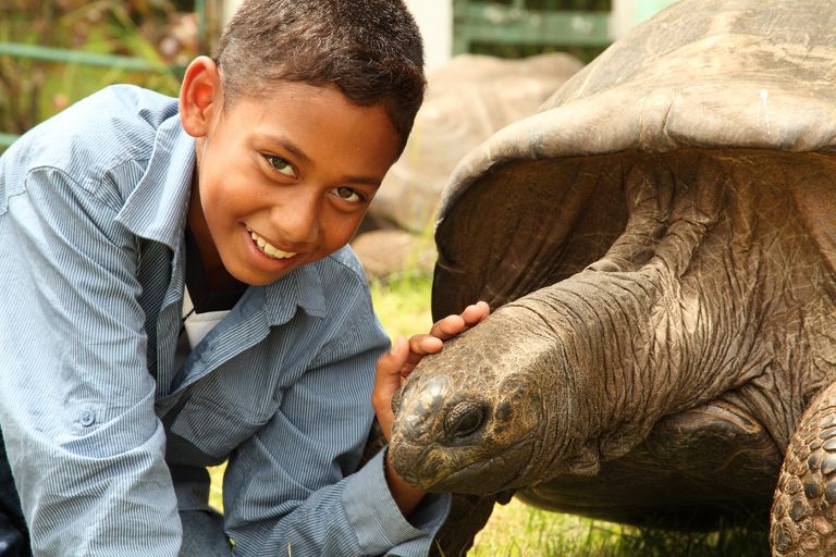 https://www.gettyimages.co.uk/detail/photo/school-boy-visiting-jonathan-the-giant-tortoise-on-royalty-free-image/147044073?phrase=jonathan%20tortoise%20helena