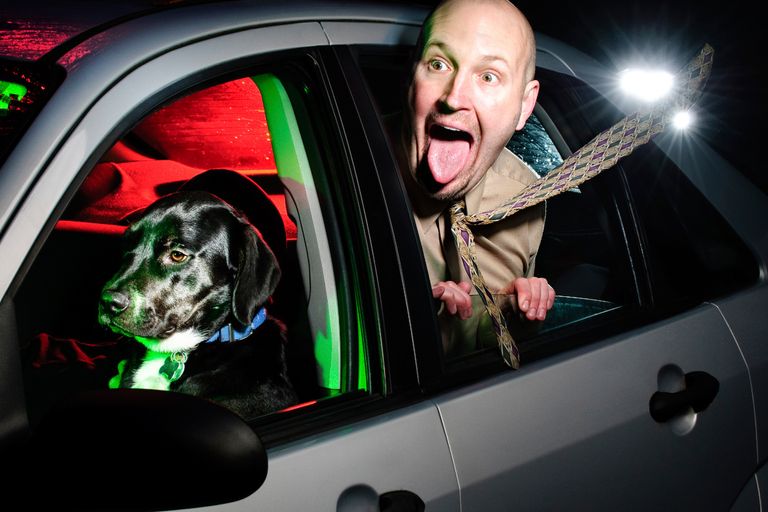 https://www.gettyimages.co.uk/detail/photo/dog-drving-car-with-man-in-back-seat-royalty-free-image/183791976?phrase=bizarre&adppopup=true