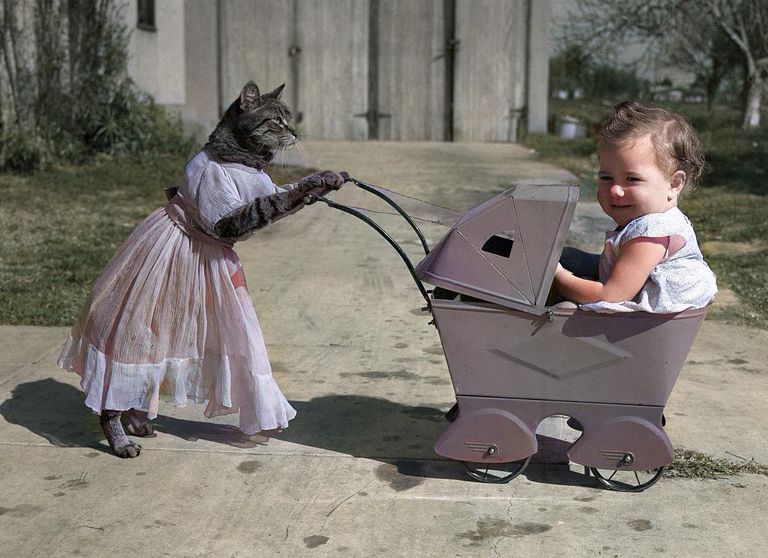 https://www.gettyimages.com/detail/news-photo/baby-girl-in-toy-pram-with-cat-in-costume-news-photo/515343350?phrase=Baby%20girl%20in%20toy%20pram%20with%20cat%20in%20costume