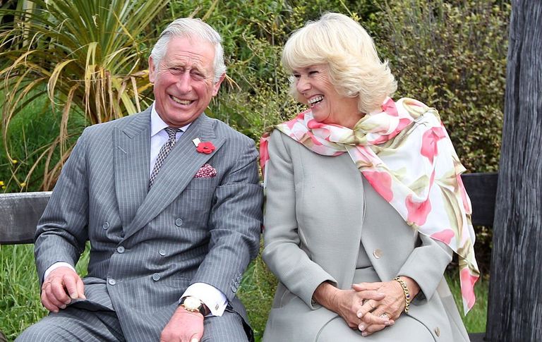 https://www.gettyimages.com/detail/news-photo/prince-charles-prince-of-wales-and-camilla-duchess-of-news-photo/495795082?phrase=King%20Charles