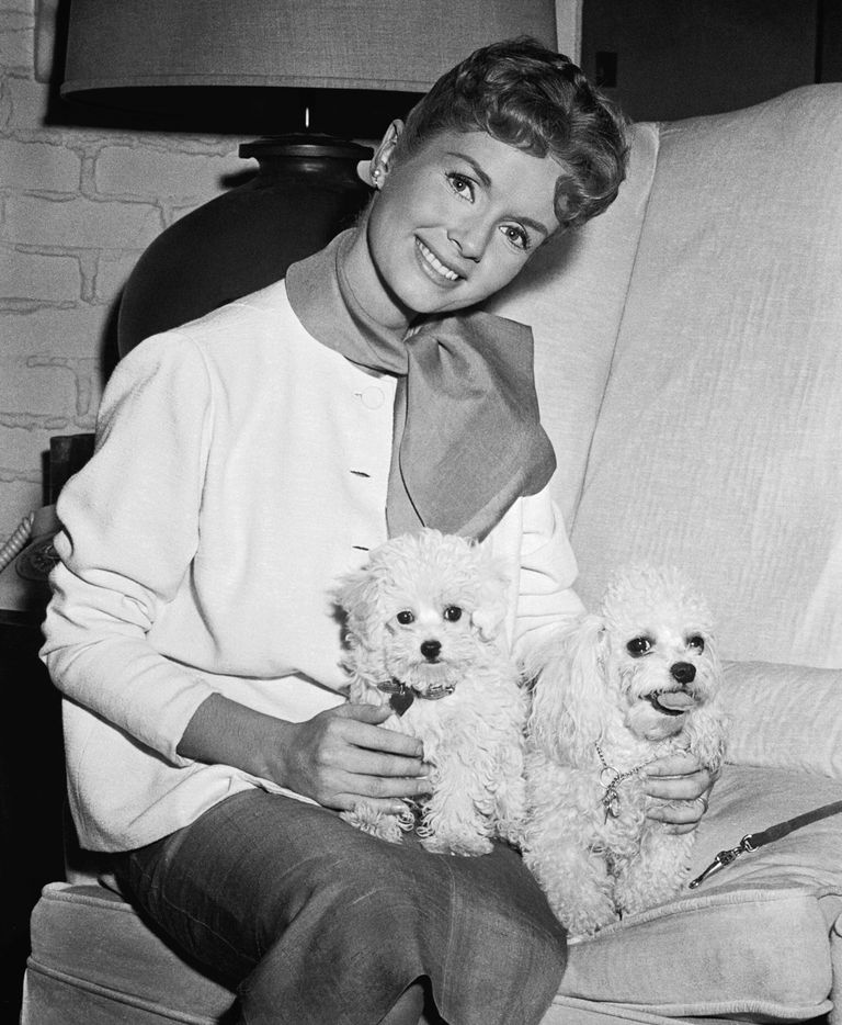 https://www.gettyimages.co.uk/detail/news-photo/putting-on-the-dog-actress-debbie-reynolds-poses-with-her-news-photo/514977372 Debbie Reynolds
