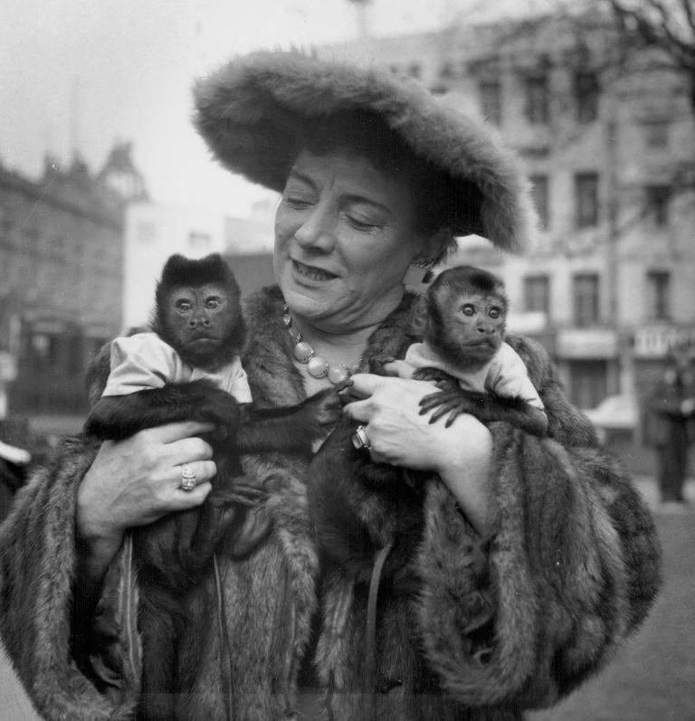 https://www.gettyimages.co.uk/detail/news-photo/comedian-hylda-baker-playing-with-her-pet-monkeys-prior-to-news-photo/500898803 Hylda Baker