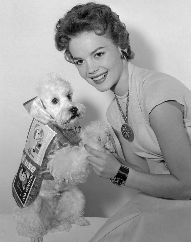 https://www.gettyimages.co.uk/detail/news-photo/actress-natalie-wood-helps-her-poodle-grebel-get-into-the-news-photo/514973852 Natalie Wood