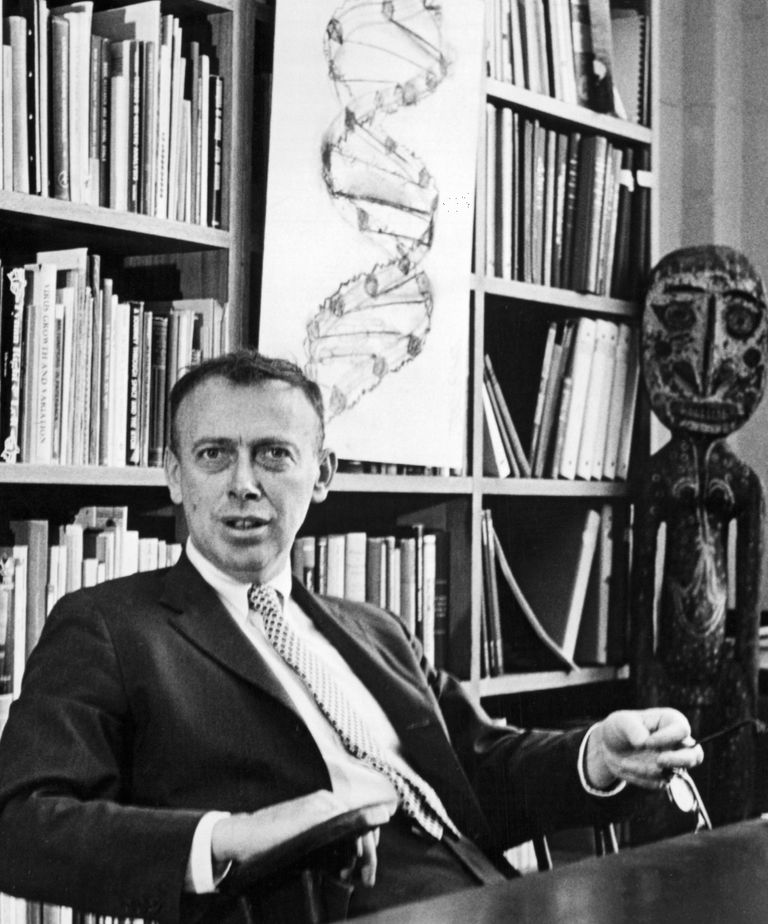 https://www.gettyimages.co.uk/detail/news-photo/dr-james-d-watson-sitting-at-his-desk-in-front-of-a-drawing-news-photo/586953613