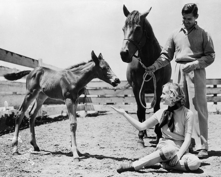 https://www.gettyimages.co.uk/detail/news-photo/carole-lombard-and-clark-gable-with-their-horse-bon-pepper-news-photo/515412000 Carole Lombard Clark Gable