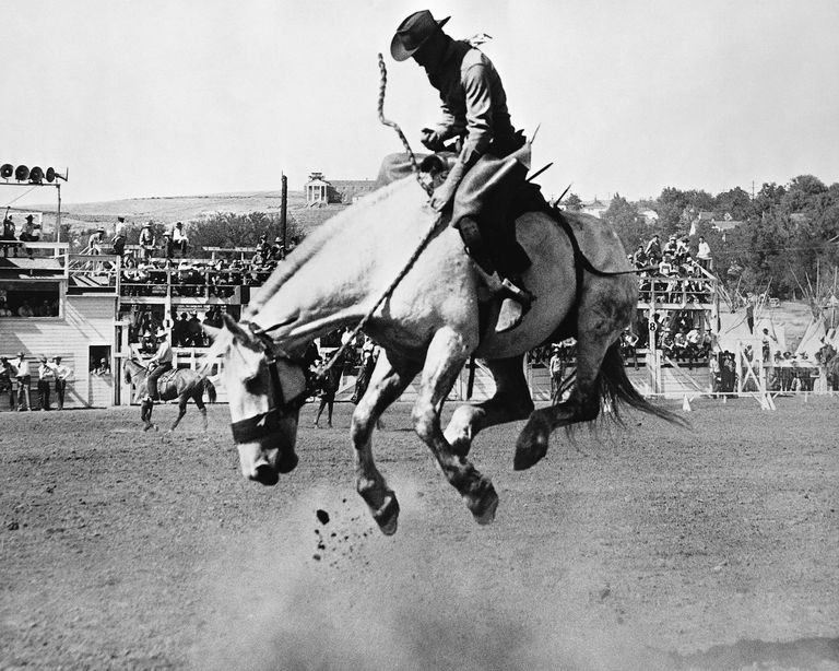 https://www.gettyimages.co.uk/detail/photo/man-riding-bucking-horse-in-rodeo-royalty-free-image/YSP_096?phrase=american%20rodeo